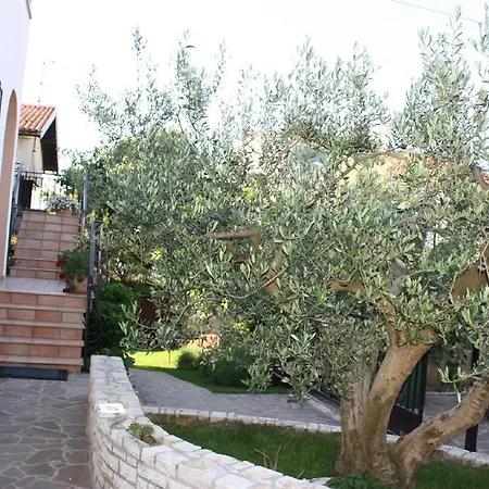 Apartments Mirela Novigrad Istria Buitenkant foto