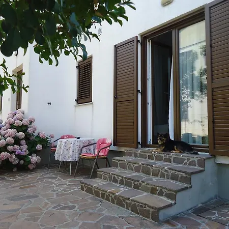 Apartments Mirela Novigrad Istria Buitenkant foto
