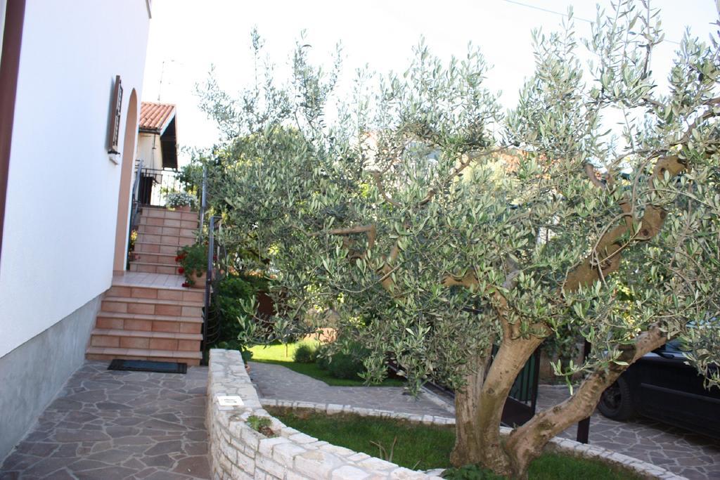 Apartment Mirela Novigrad (Istria)
