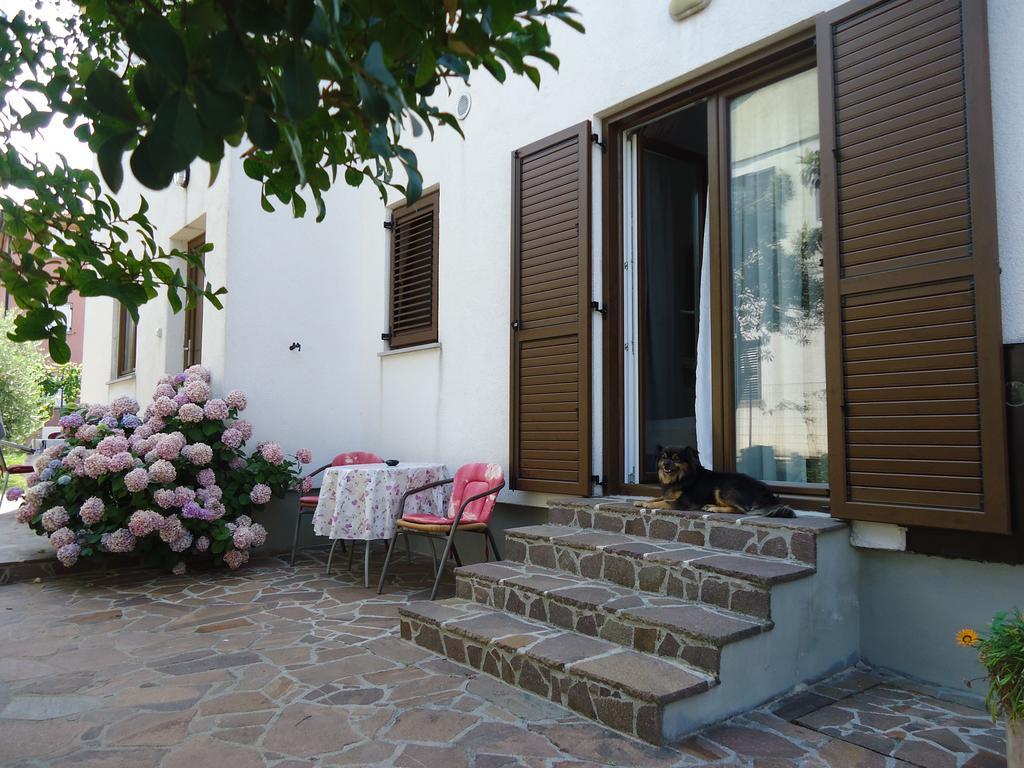 Mirela Novigrad (Istria)